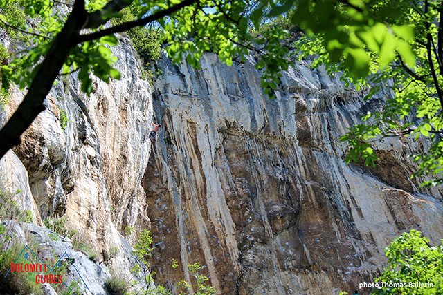 arrampicata dolomiti guides Osp Slovenia