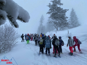 dolomitiguides escursione ciaspole monte avena