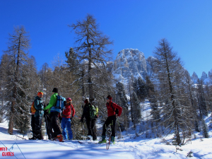 dolomitiguides escursione ciaspole passo rolle     -1