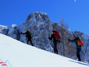 dolomitiguides escursione ciaspole passo rolle      -1